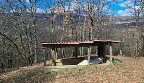 Terreno · Piancastagnaio