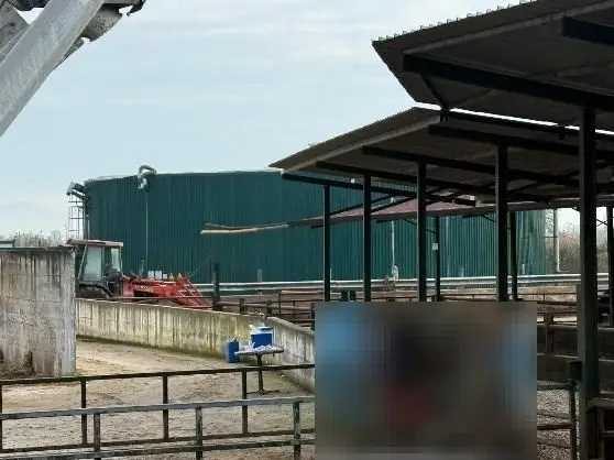 Fabbricati Costruiti Per Esigenze Industriali · Santa Maria la Fossa