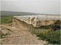 Terreno all'asta a Mazzarrone (CT)