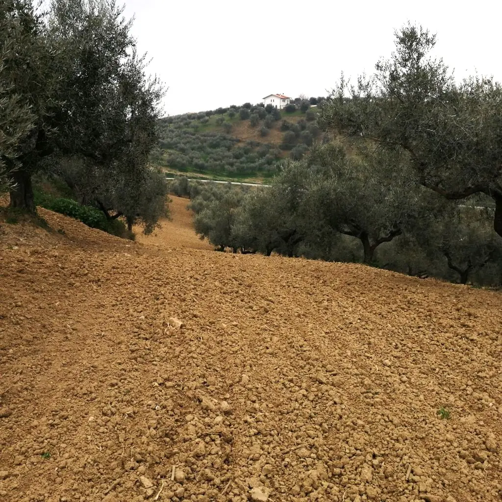 Fabbricato Rurale · Pianella
