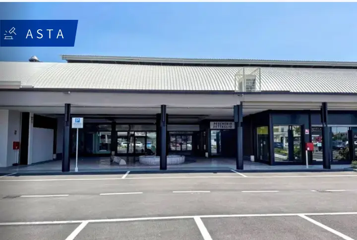 Fabbricati Costruiti Per Esigenze Commerciali · Carpenedolo