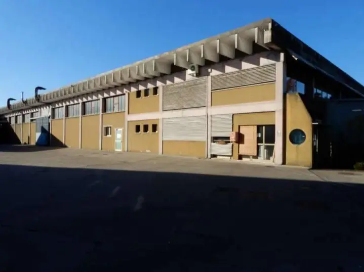 Fabbricati Costruiti Per Esigenze Industriali · Villorba