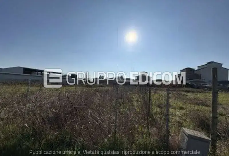 Terreno · Tresignana
