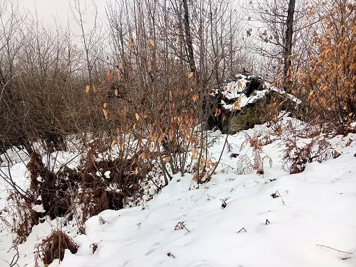 Compendio Pignorato · Roccaforte Mondovì