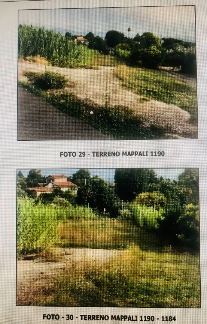 Terreno · Velletri