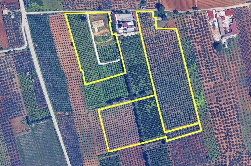 Terreno · Castelvetrano