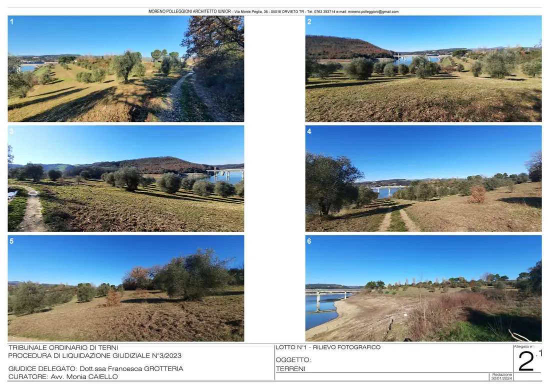 Terreno · Baschi