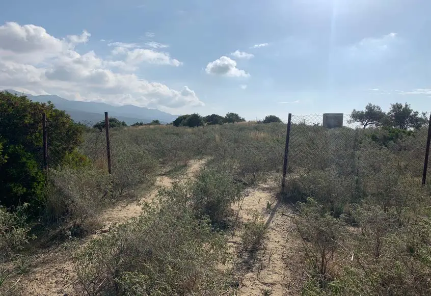 Terreno · Maracalagonis