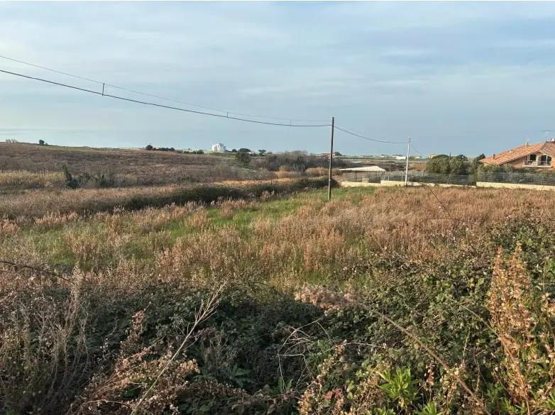 Terreno · Termoli