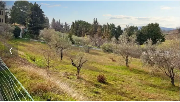 Terreno · Montefalco