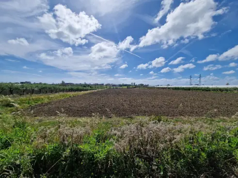 Terreno · Eboli