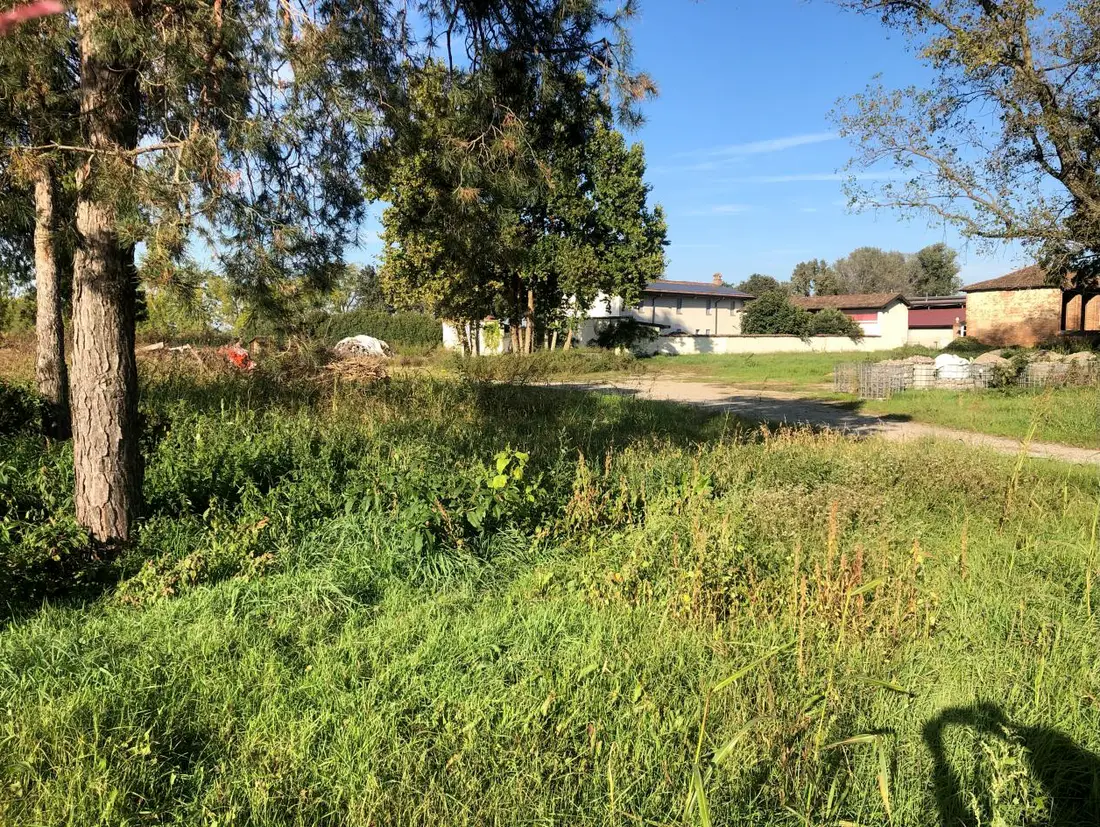 Terreno · Terranova dei Passerini