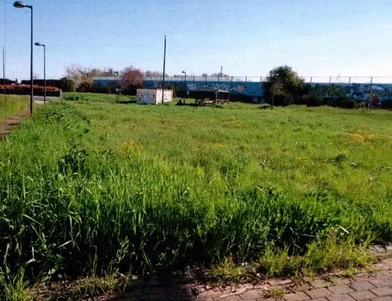 Terreno · Soliera