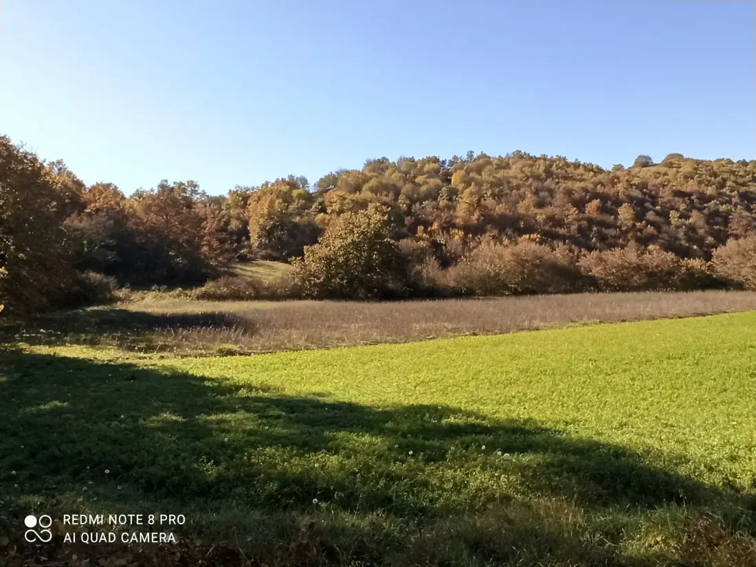 Terreno · Trivigliano