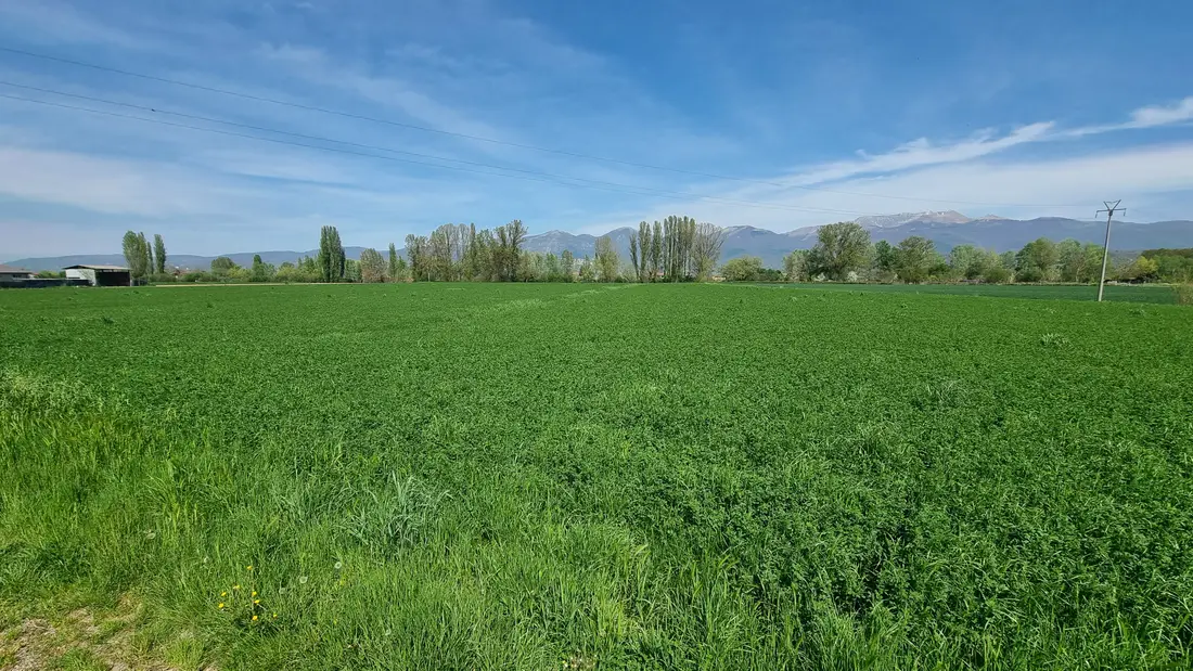 Terreno · Rieti