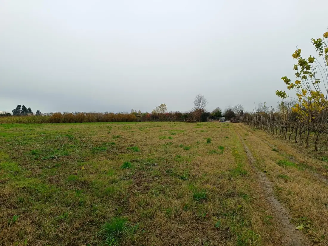 Terreno · Marcallo con Casone