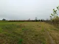 Terreno all'asta a Marcallo con Casone (MI)