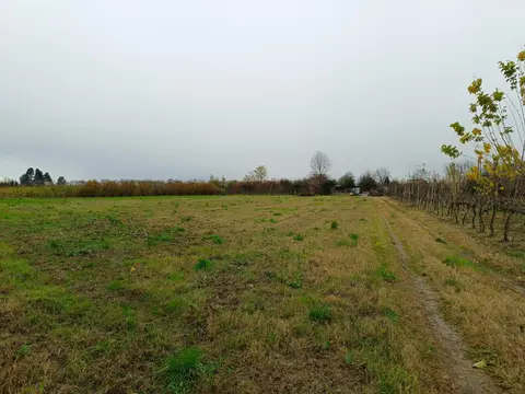 Terreno all'asta a Marcallo con Casone (MI)