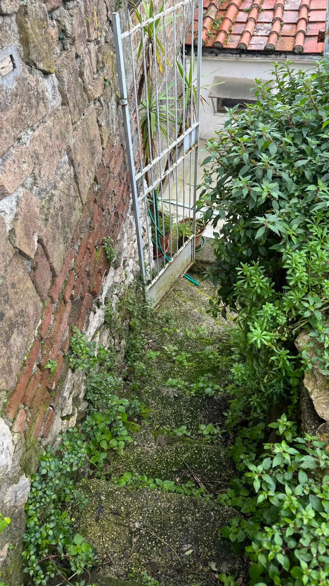 Terreno · Cori