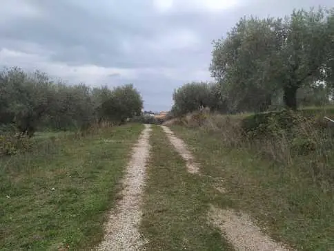 Terreno · Porto Sant'Elpidio