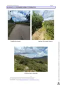 Terreno all'asta a Calangianus (SS)
