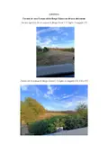 Terreno all'asta a Borgo Ticino (NO)