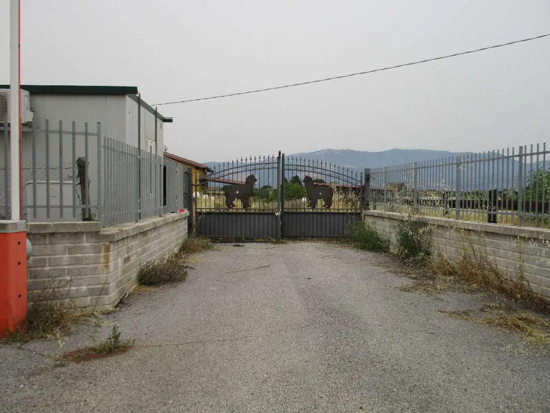 Compendio Pignorato · Velletri