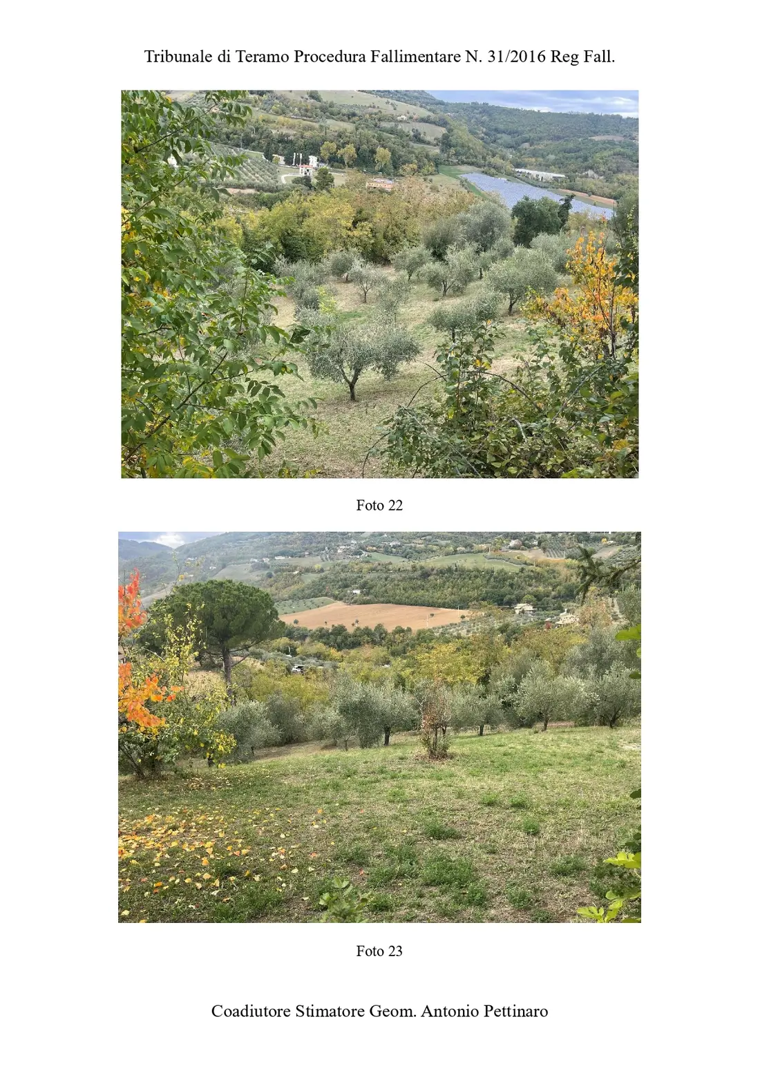 Terreno · Torricella Sicura