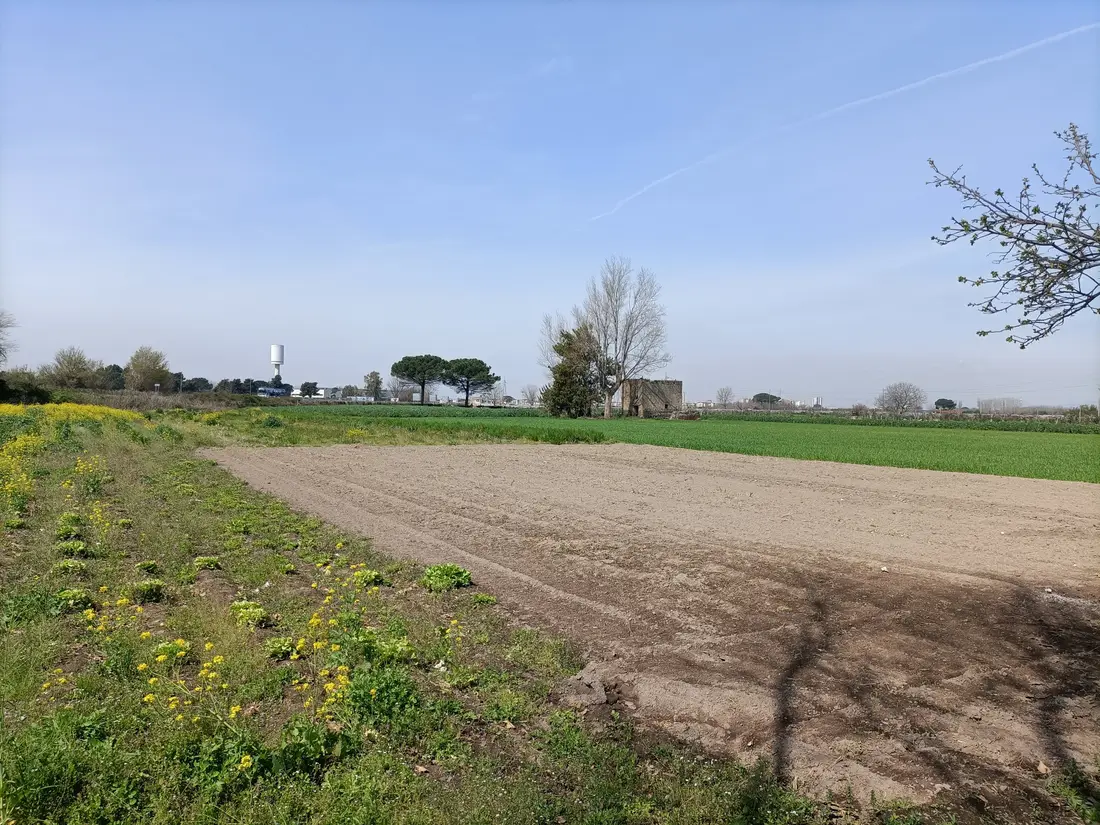 Terreno · Castello di Cisterna