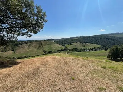 Terreno · Albinea