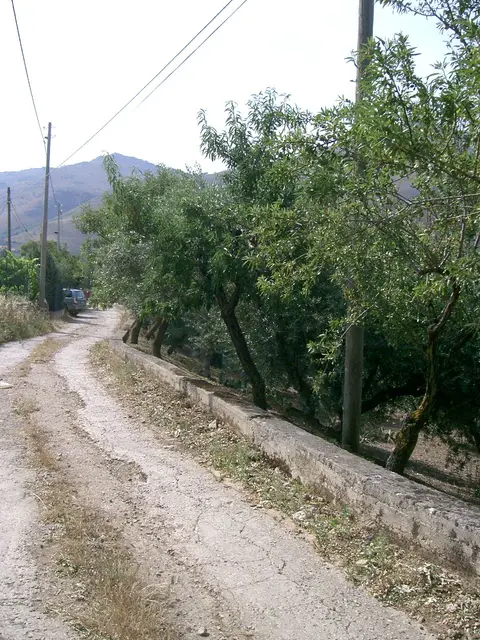 Terreno all'asta a Belmonte Mezzagno (PA)