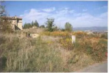 Terreno · Montecchio