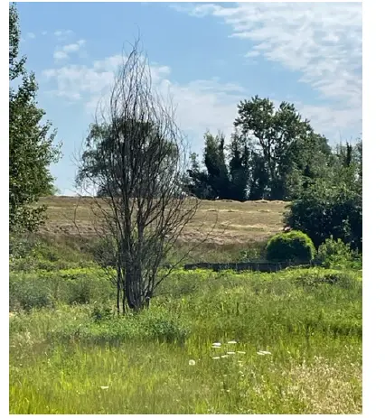 Terreno · Borgo Mantovano