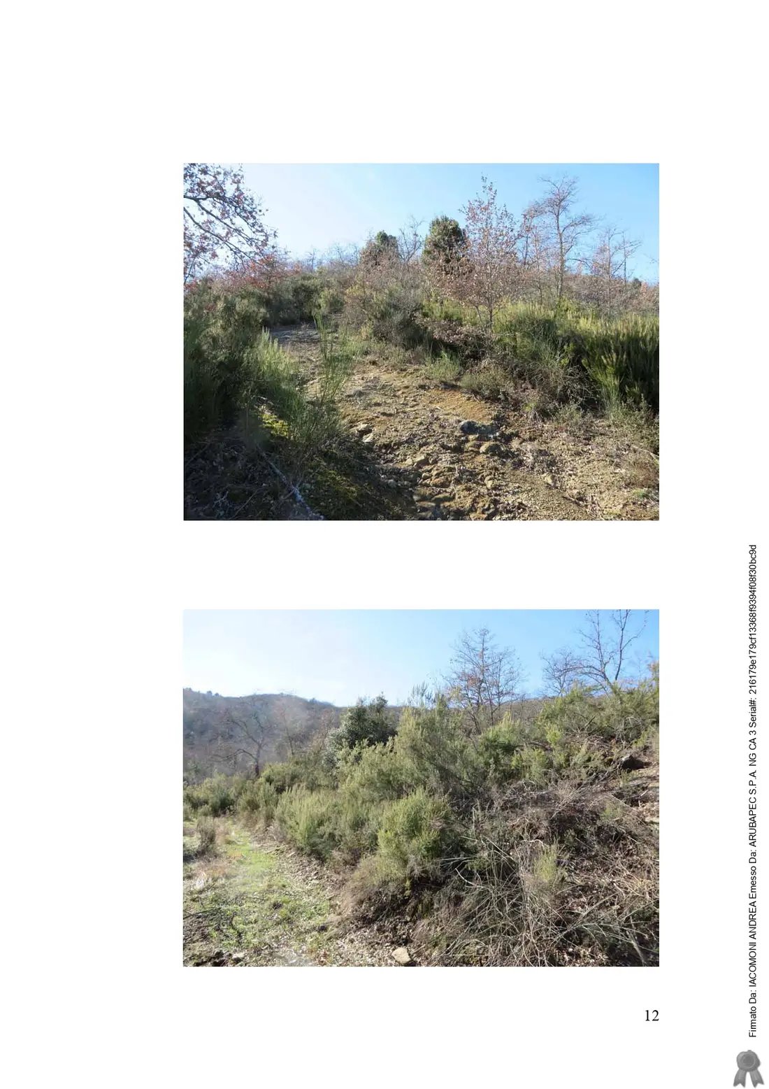 Terreno · Monte San Savino