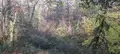 Terreno all'asta a Rapolano Terme (SI)