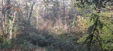 Terreno all'asta a Rapolano Terme (SI)