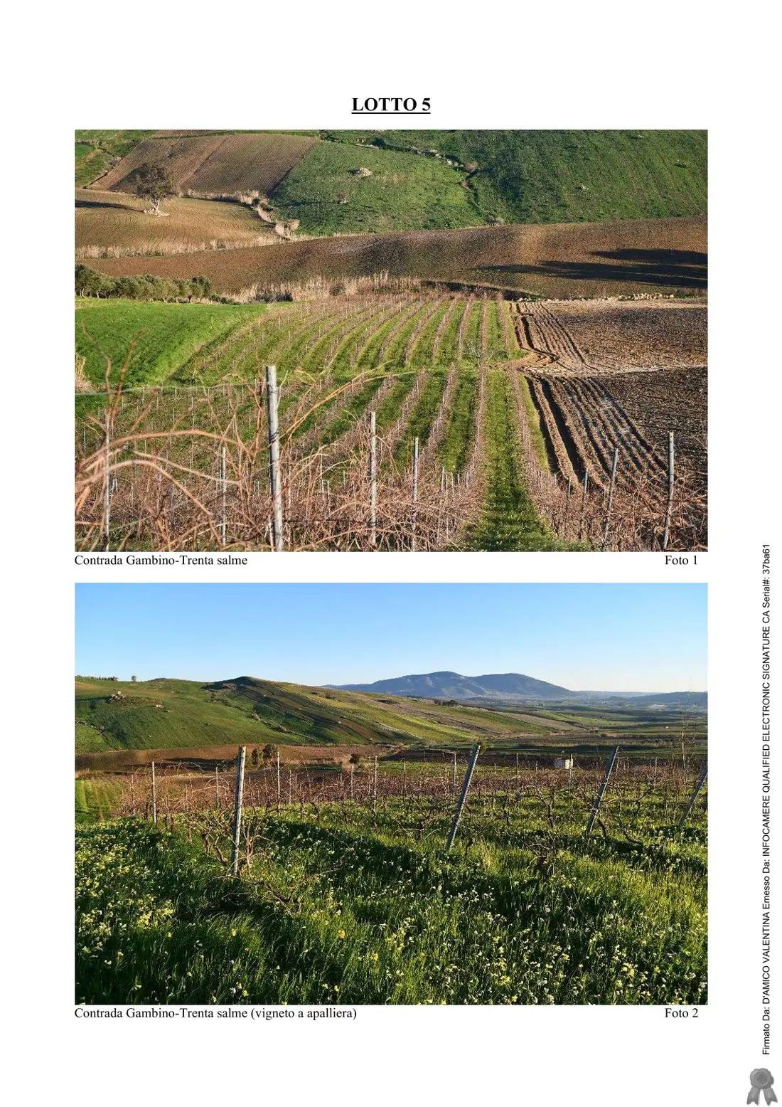 Terreno · Buseto Palizzolo