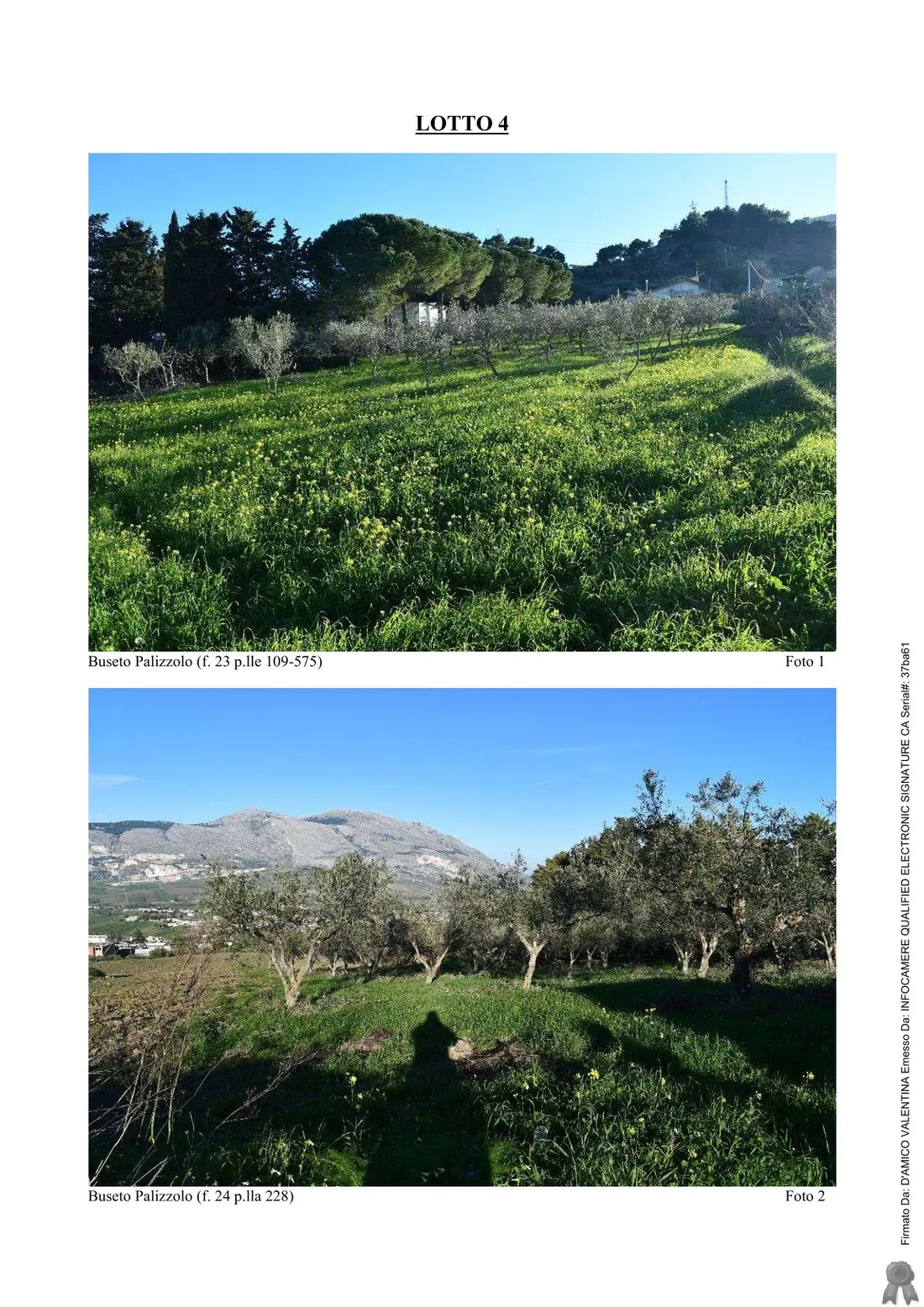 Terreno · Buseto Palizzolo