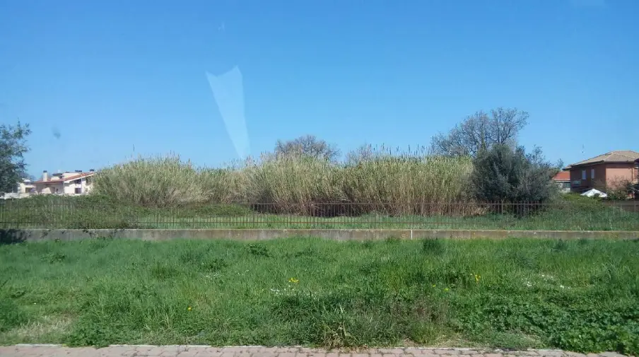Terreno · Albano Laziale