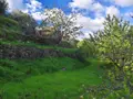 Terreno all'asta a Limina (ME)