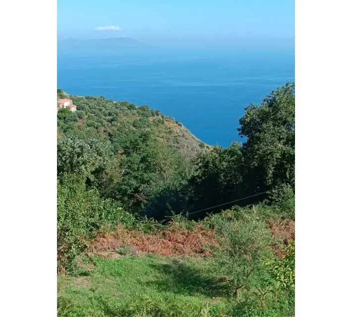Terreno · Gioiosa Marea