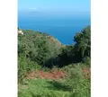 Terreno all'asta a Gioiosa Marea (ME)