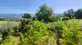 Terreno all'asta a Montefalco (PG)