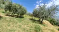 Terreno all'asta a Montefalco (PG)