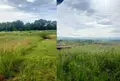Terreno all'asta a Fratta Todina (PG)