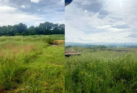 Terreno all'asta a Fratta Todina (PG)
