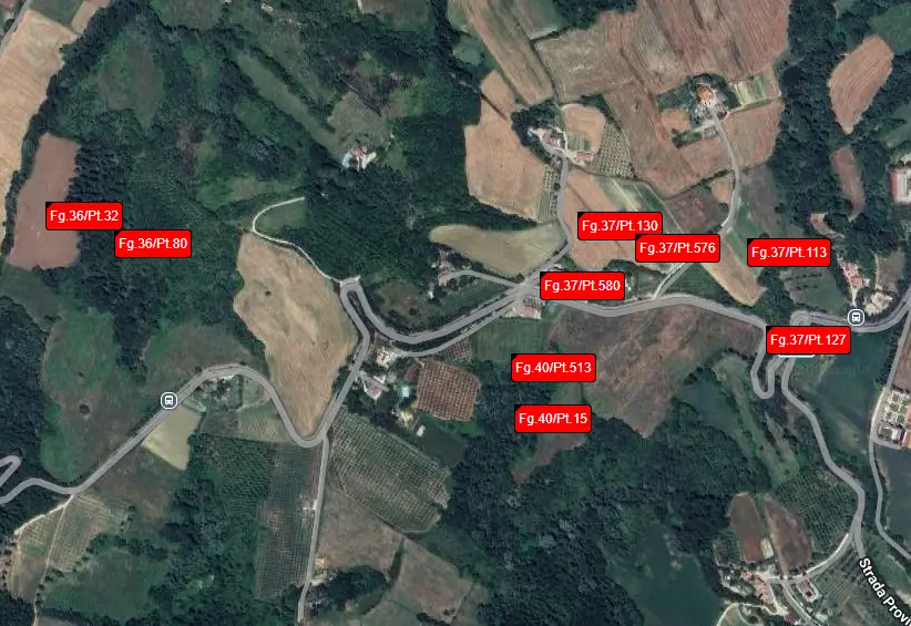 Terreno · Montone