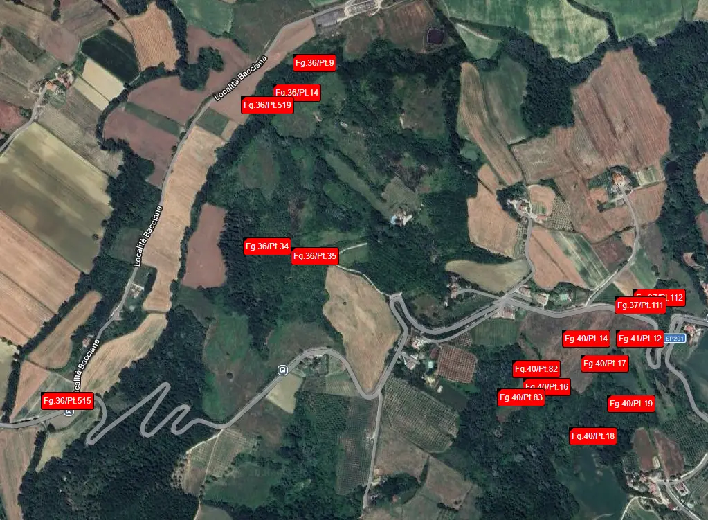 Terreno · Montone