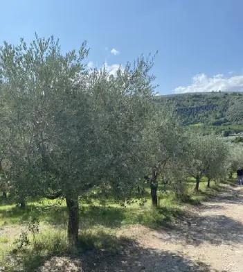 Terreno · Spoleto