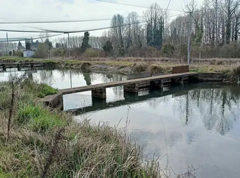 Fabbricati Per Attività Agricole all'asta a Treviso (TV)